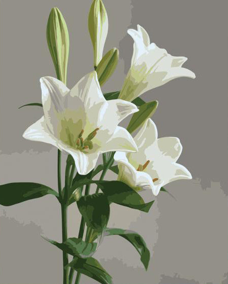 White Lily Elegance
