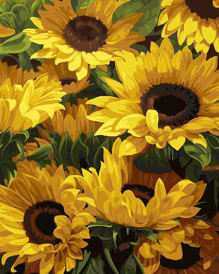 Sunlit Summer Blooms