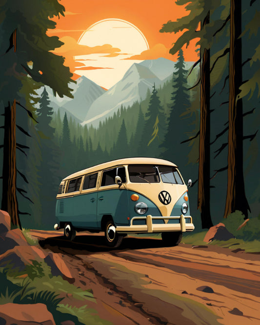 Forest Drive at Dawn